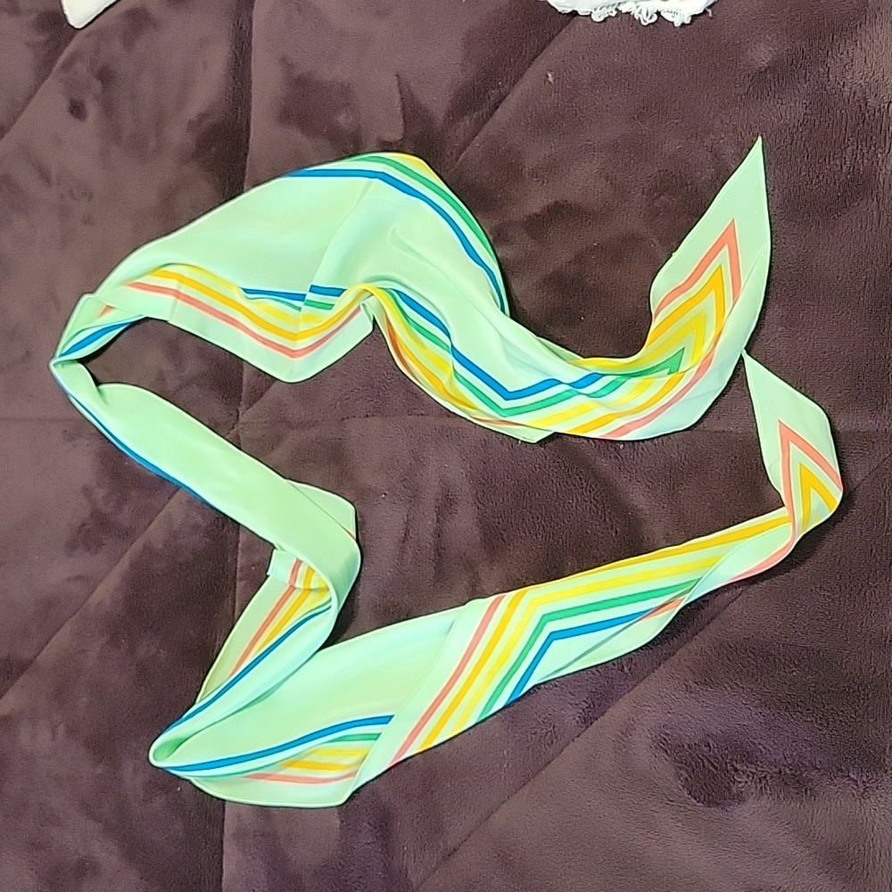 Vera Wang Rainbow Scarf